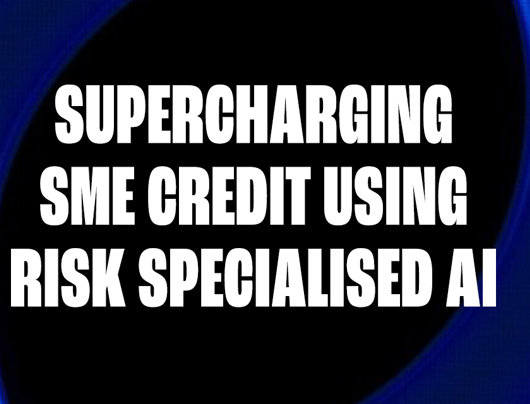 Supercharging SME Credit Using Risk Specialised AI